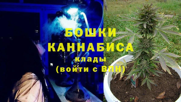 гидра Медногорск