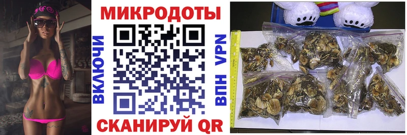 Галлюциногенные грибы GOLDEN TEACHER  цены   Чухлома 